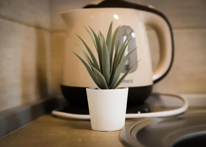 Hris * Vrnjacka Banja